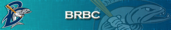 BRBC Sub-Header.jpg